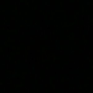 Meet your Posher, Lilly